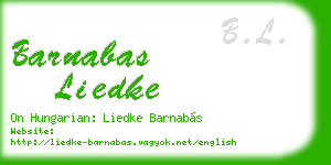 barnabas liedke business card